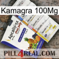 Kamagra 100Mg 11